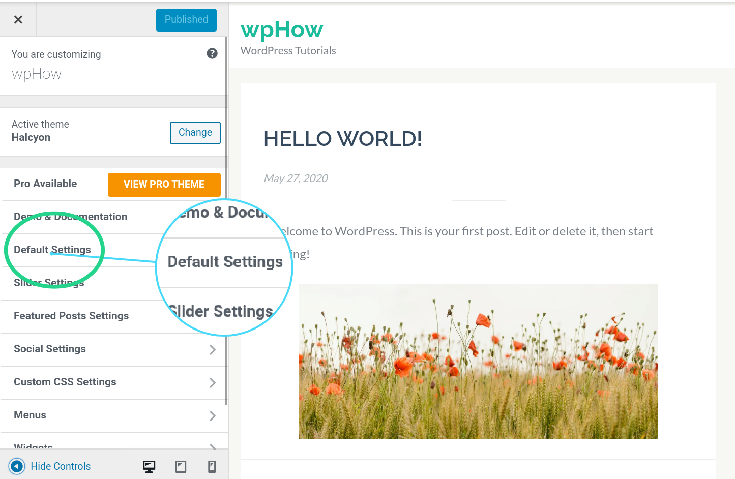 Default Settings - wordpress site title