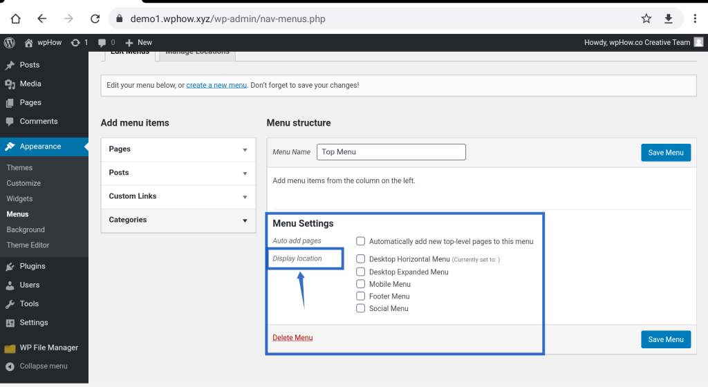 Create a Custom Menu in WordPress - menu settings