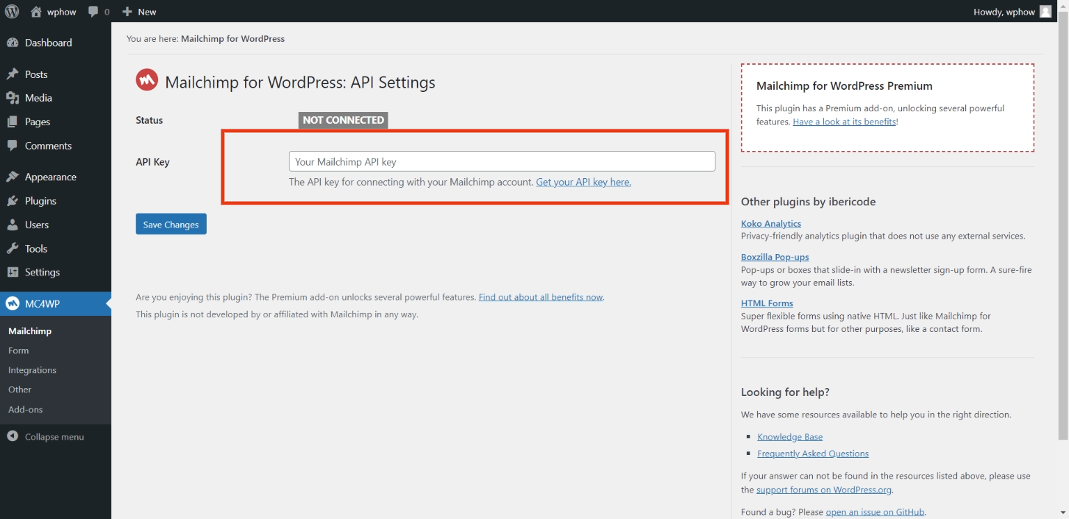 How to add Mailchimp to WordPress- API key