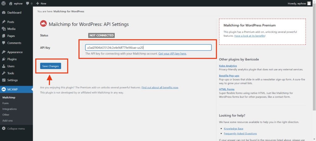 How to add Mailchimp to WordPress- Paste the API key