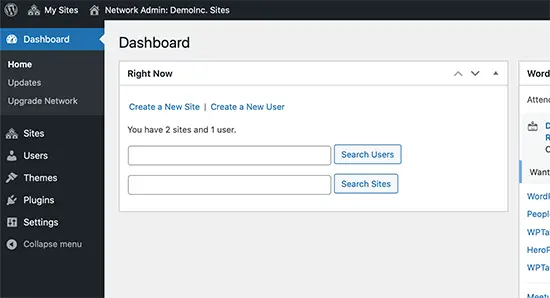 WordPress Multisite Domain Mapping - Managing Multisite