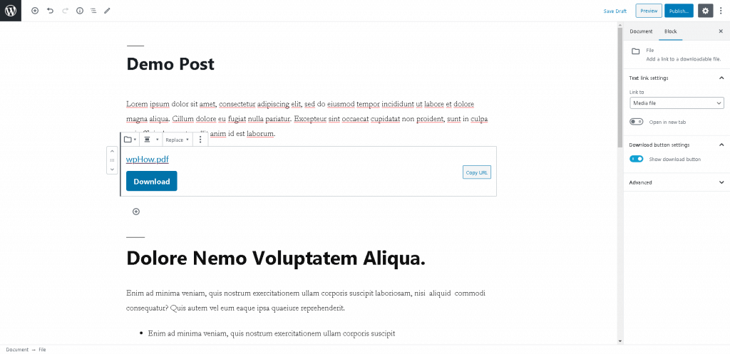 Add A Download Link In WordPress- Add A Download Link In WordPress