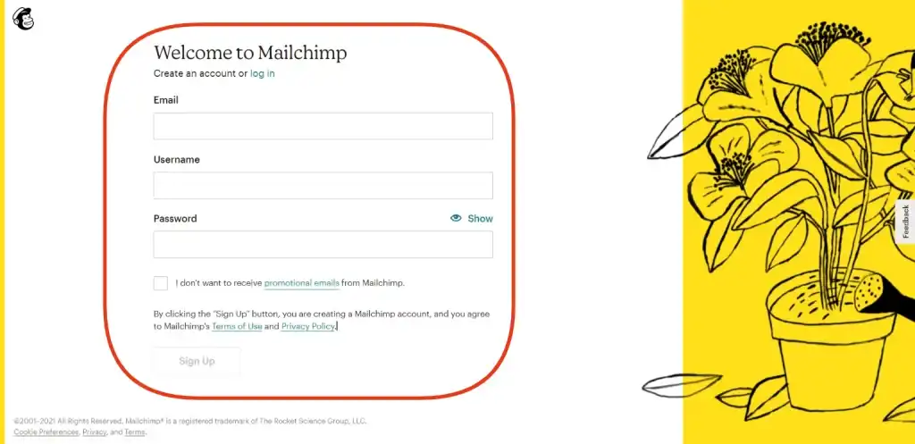 How to add Mailchimp to WordPress- Mailchimp Signup