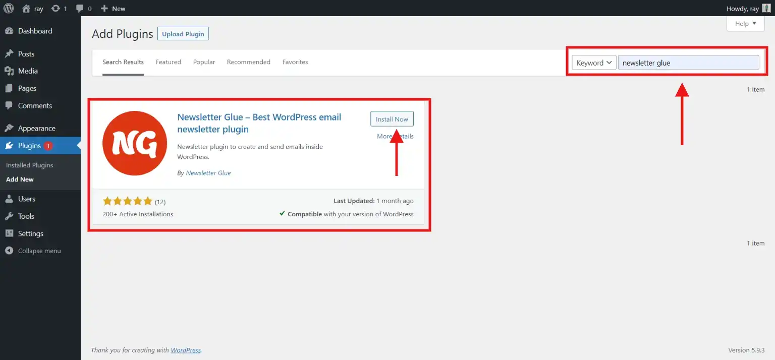 Newsletter in WordPress- Install and activate the plugin - newsletter in wordpress