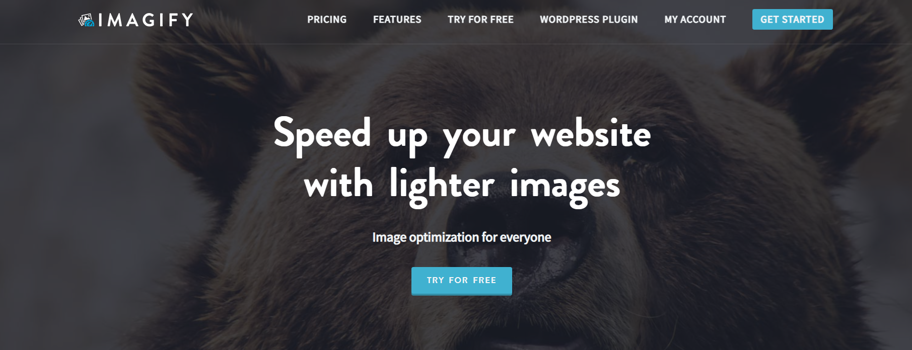 Optimize Images for Faster Loading - Imagify