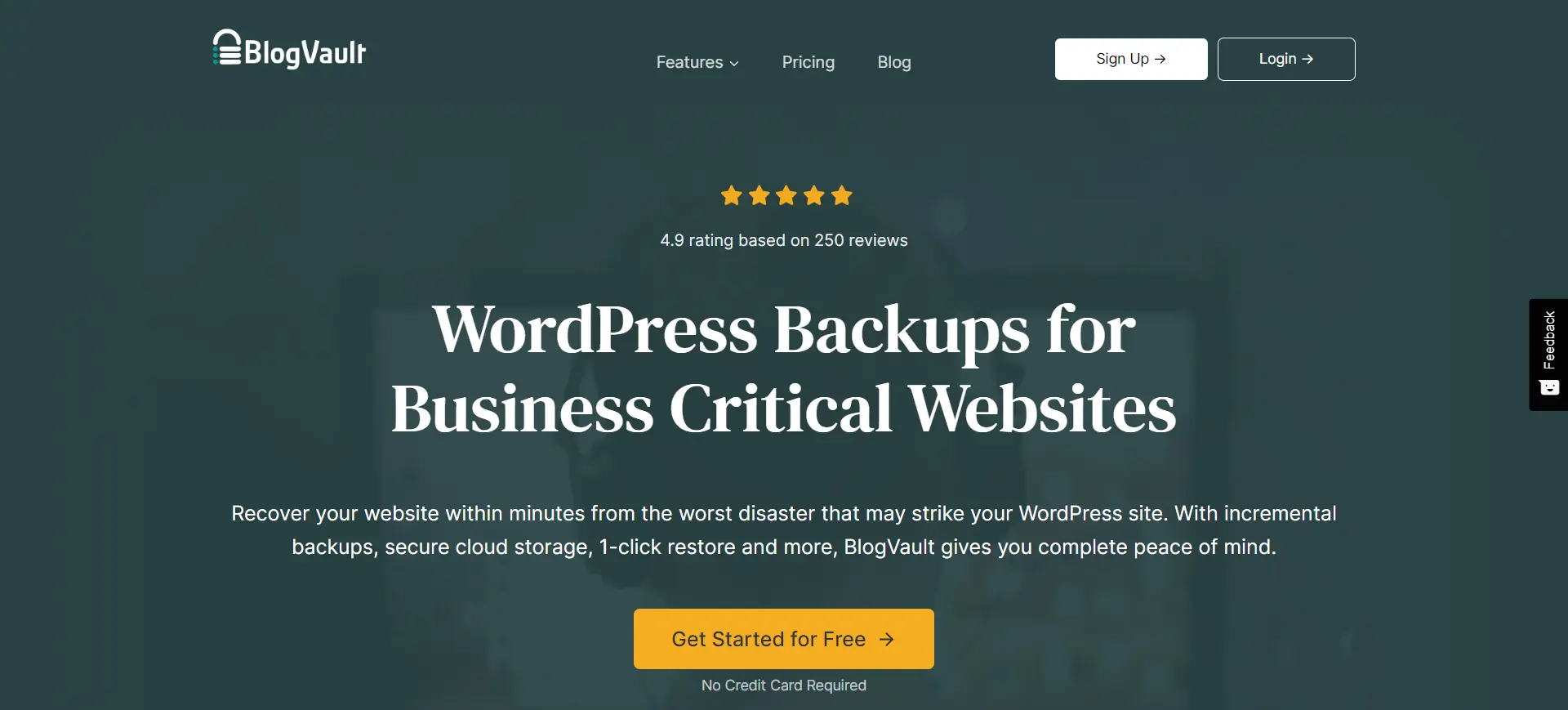 WordPress Backup Plugins - BlogVault