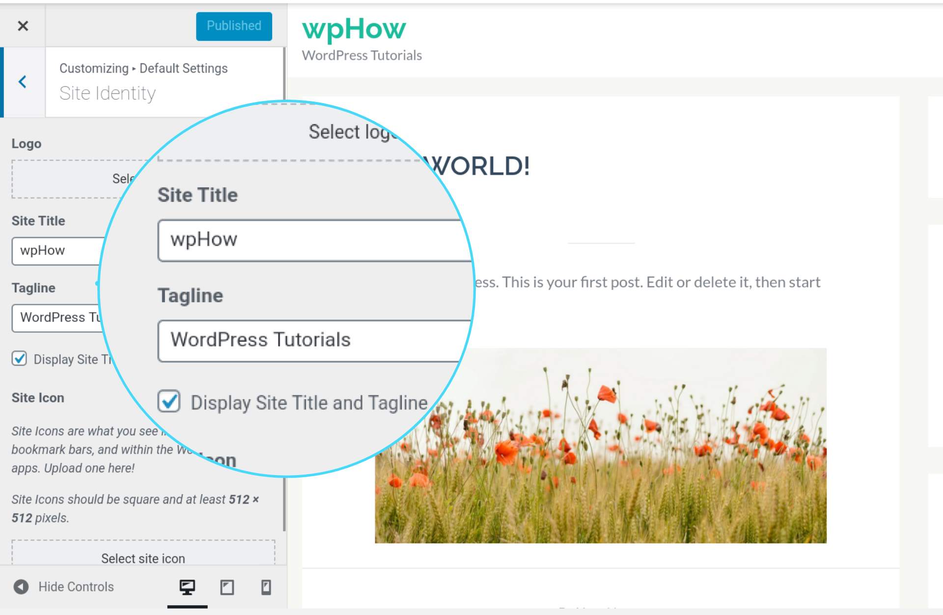 Change Site Title and Tagline Settings. - how to change title tag in wordpress