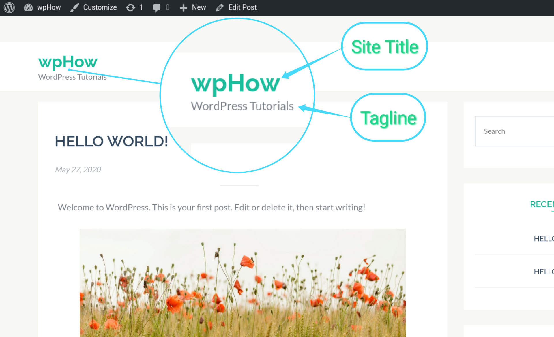 Site Title and Tagline: A Visual - wordpress how to change site title