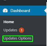 Updates Options - update theme in wordpress