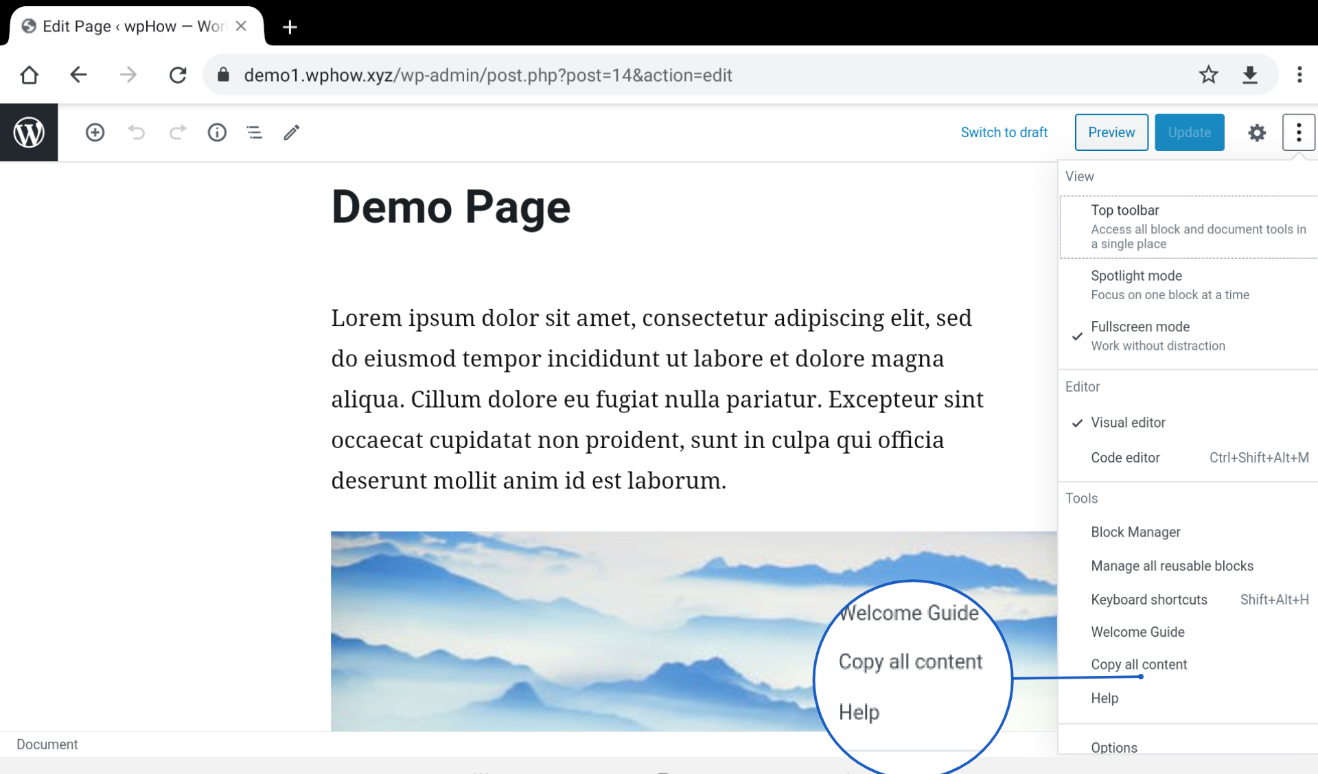 copy-all-content--1 - how to copy a wordpress page