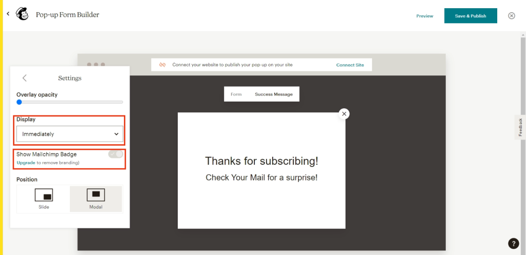 How to add Mailchimp to WordPress- Settings in Mailchimp