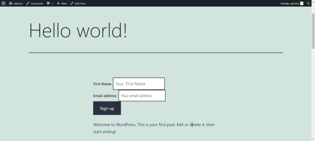How to add Mailchimp to WordPress- Form added to WordPress