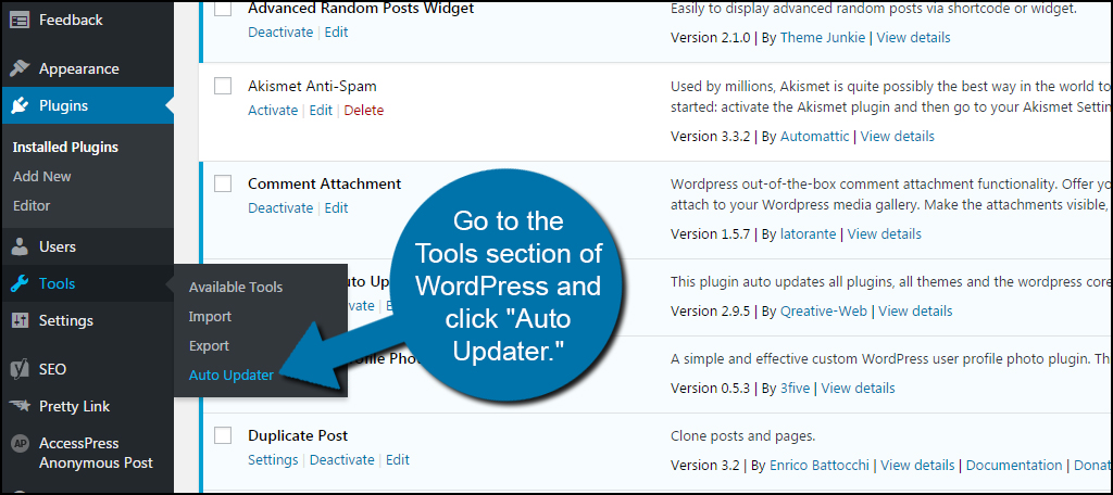 Update Plugin in WordPress- auto update