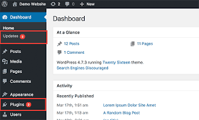 Update Plugin in WordPress- Plugins and Updates